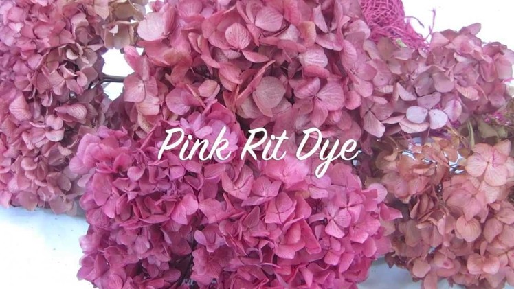 How To dry Hydrangeas & How to Color Hydrangeas