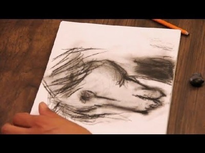 Tutorial on How to Draw a Horse in Charcoal : Art Tutorials