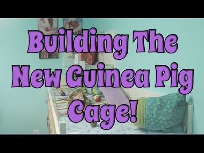 BudgetBunny: Building The New DIY Guinea Pig Cage!