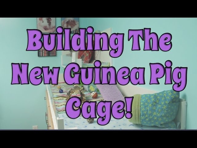 BudgetBunny: Building The New DIY Guinea Pig Cage!