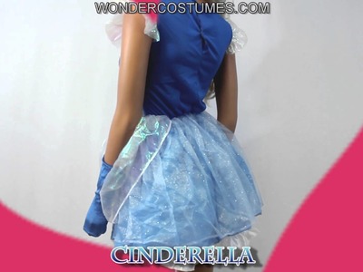 Disney Cinderella Adult Costume