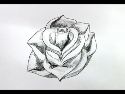 How To Draw A Rose Flower Step By Step (Very Easy Method)