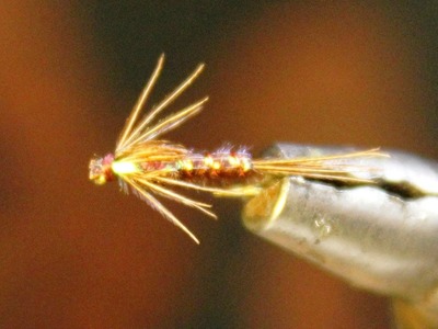 How to tie a Flashback Pheasant Tail Nymph
