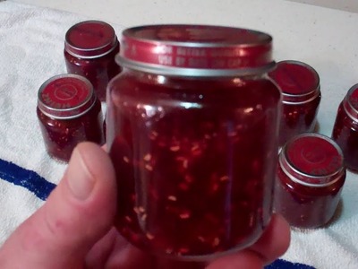 Raspberry Rhubarb Jam! Canned in Baby Food Jars! Want To Know How? WATCH THIS!