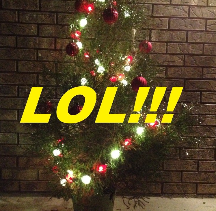 Christmas Tree!!! How to do it yourself.  LOL