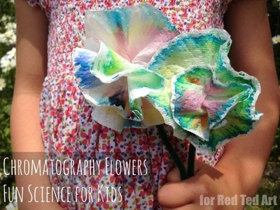 Chromatography flowers - easy science craft (Guest Vlog)