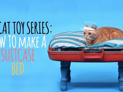 DIY Cat Toys - How to Make a Suitcase Bed