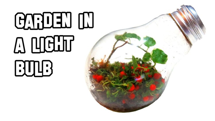 How To Make A Garden In A Light Bulb | Cool Science Experiment