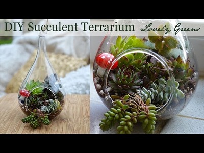 How to make a Succulent Terrarium