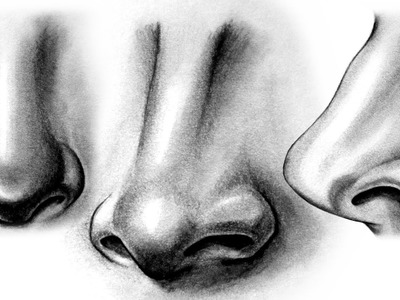How to draw a Realistic Nose