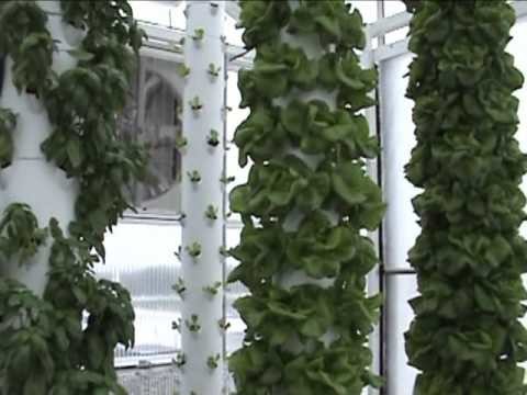Aquaponics System in a Retractable Roof Greenhouse in Florida.wmv