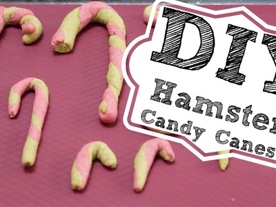 DIY HAMSTER CANDY CANES!