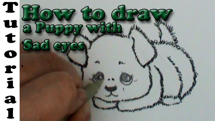 How to draw a Fluffy puppy with sad eyes