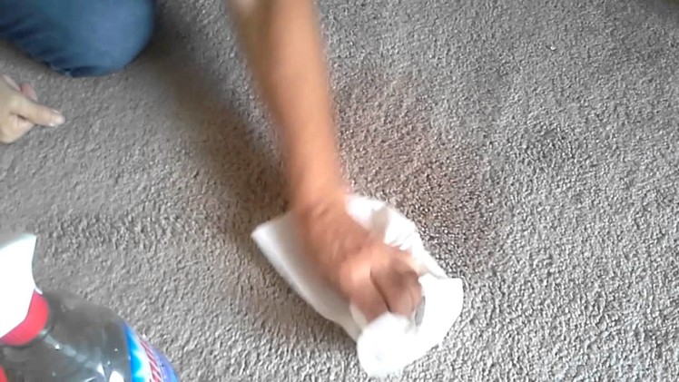 How to Get Stains Out of Carpets Using Only Vinegar