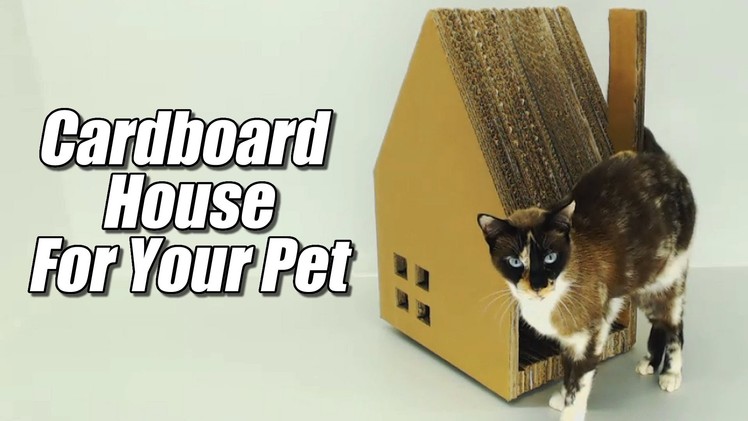 Cardboard House for your pet, how it's done