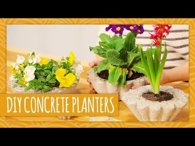 DIY Concrete Planters - HGTV Handmade