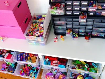 How I Organize My LPS & Accessories!