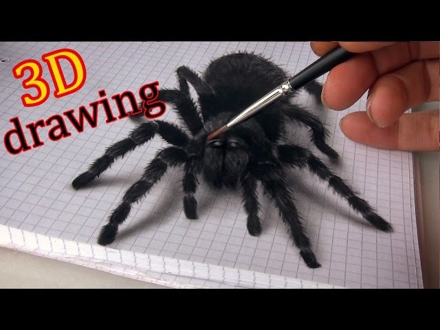 3D Spider Drawing.AMAZING realistic illusion!
