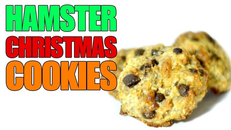 FESTIVE HAMSTER COOKIES | How To