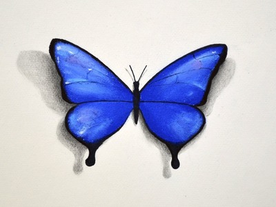 How to Draw a Butterfly With Pastel - Fine Art-Tips