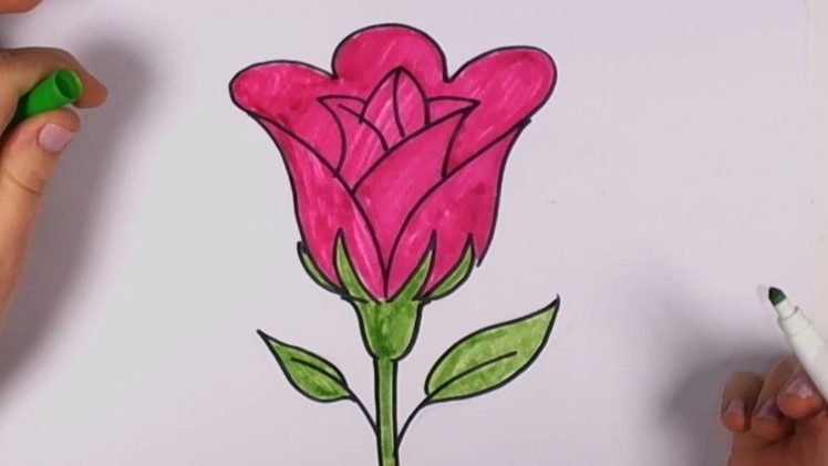 How to Draw a Rose Easy - Open Rose Art Tutorial CC