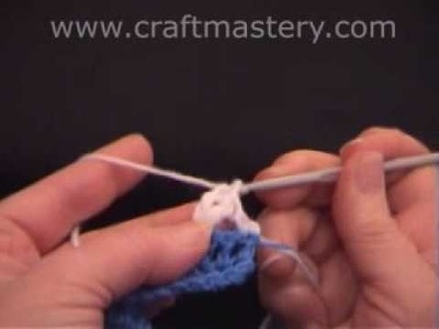 Crochet Stitches - Crochet Shell Design