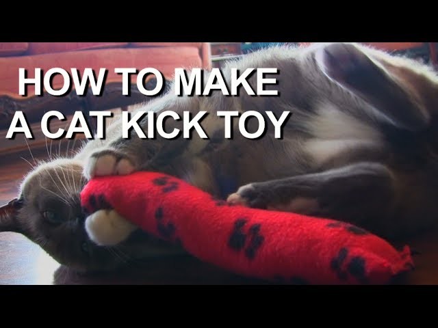 How To Make A Easy Cat Toy