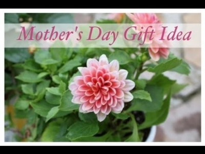 Mother's Day Gift Idea!