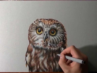 How I draw an owl