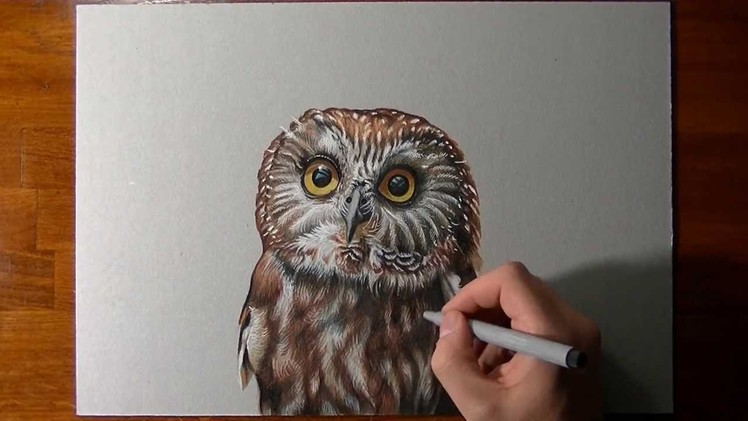 How I draw an owl