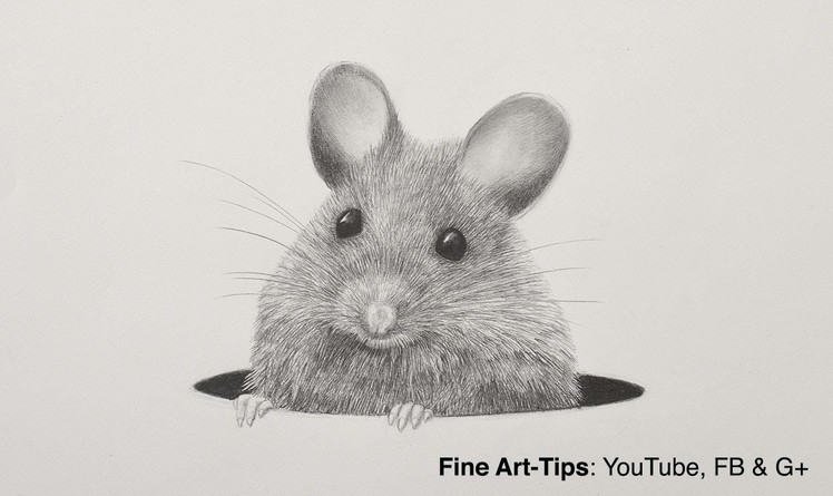 How to Draw a Mouse With a Mechanical Pencil - Animal Hair - Rat Fur