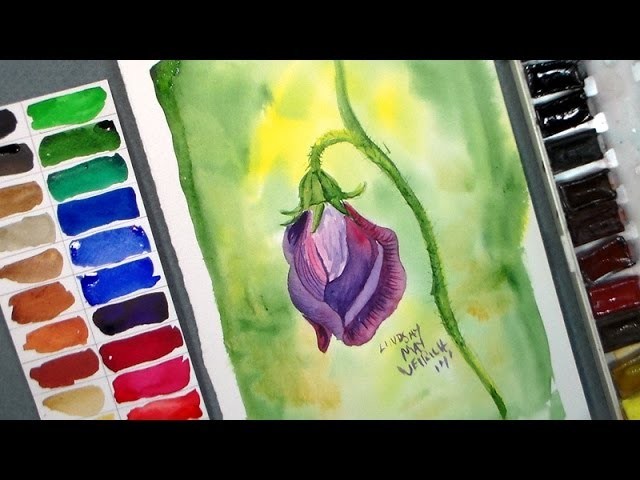 How to Paint a Sweet Pea Blossom in Watercolor