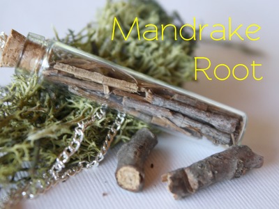 Mandrake Root : Harry Potter Potion # 10