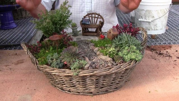 Planting a Miniature Garden Container