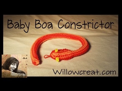 Baby Boa Constrictor