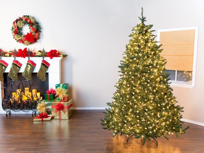 Christmas Tree Basics: Fluffing & Lighting