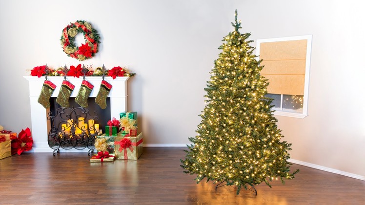 Christmas Tree Basics: Fluffing & Lighting