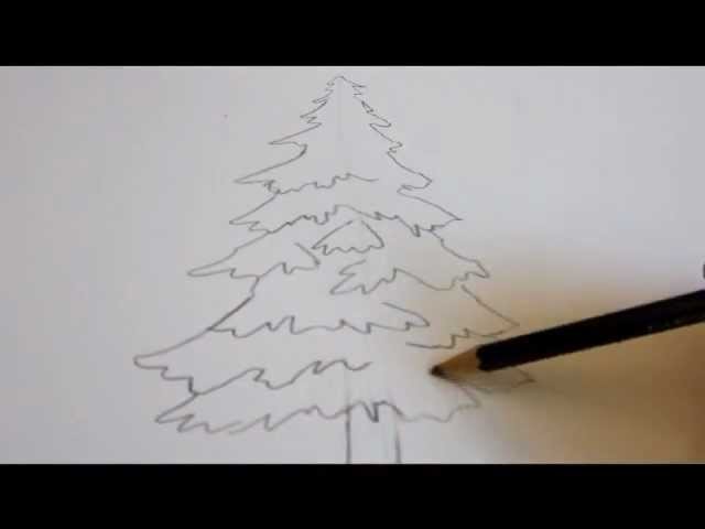 How To Draw A Tree - Draw An Evergreen Tree