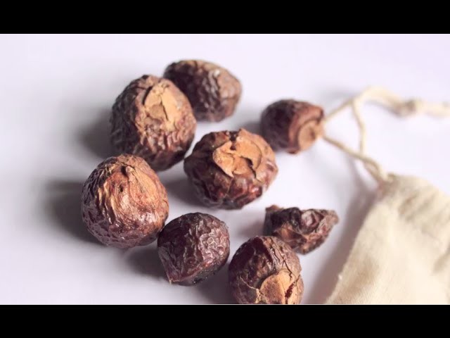 How to use Soap Nuts - Natural Laundry Care, Cleaner, Shampoo, Shaving Cream