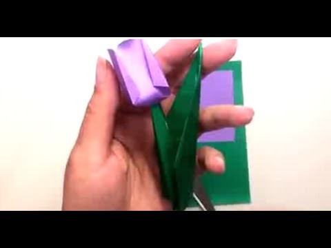 Origami for Beginners - Tulip & Stem