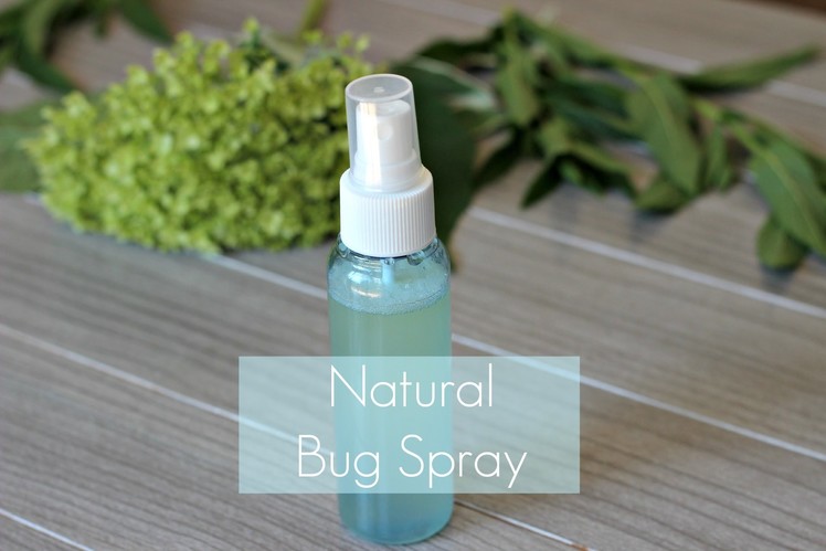 DIY Natural Bug Spray