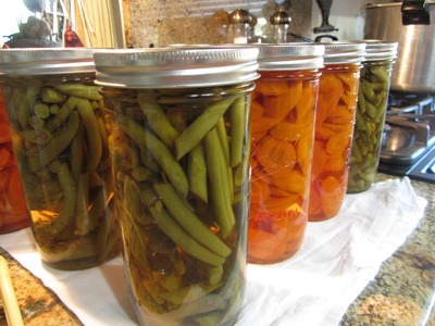 Home Canned Green Beans & Carrots From The Garden