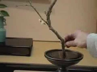 How to make an authentic Ikebana.