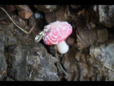 Miniature Pink Mushroom Tutorial Rhodotus Palmatus
