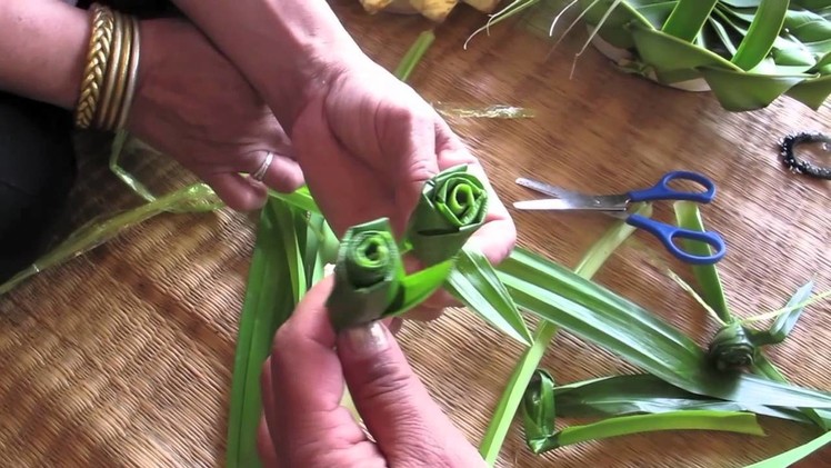 Pandanus Rose
