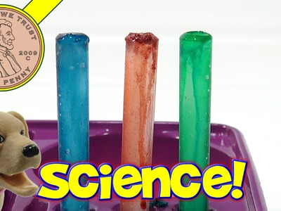 Rainbow Ice & Rock Candy With The Clifford The Big Red Dog Food Science Kit