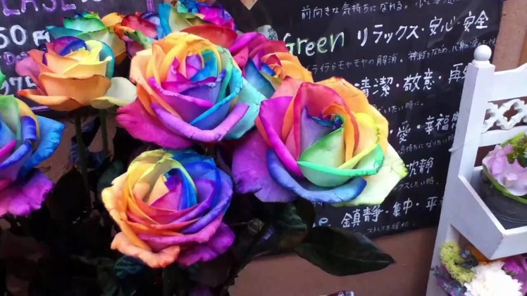 Rainbow Roses in Shinjuku Tokyo Japan