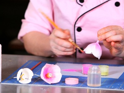 How to Paint Tulip Petals | Sugar Flowers