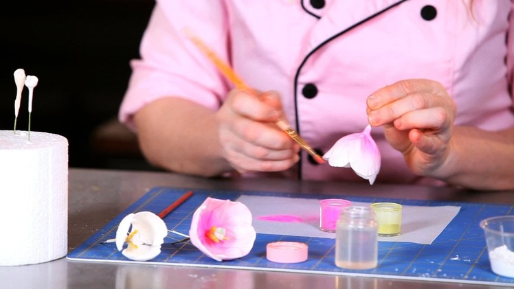 How to Paint Tulip Petals | Sugar Flowers