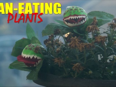 DIY Halloween Man Eating Plant Props For A Haunted House
